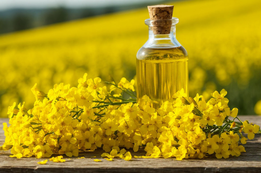 Рапсовое масло